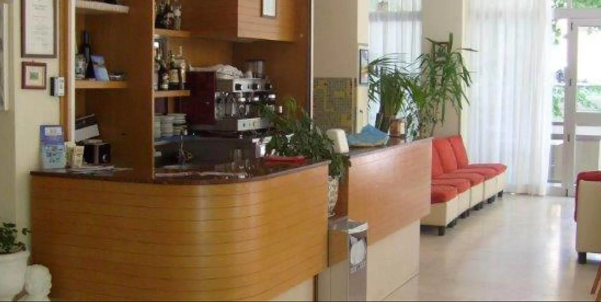 提兹亚娜酒店 里米尼 意大利